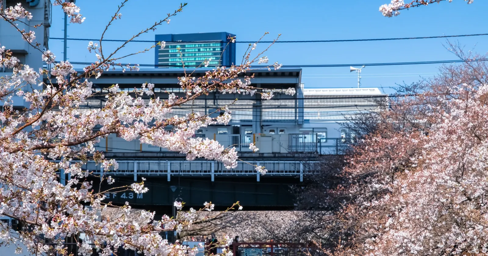【永田町駅から徒歩0分!?都内寮/経理事務】都内一等地の有名ホテルで経理事務