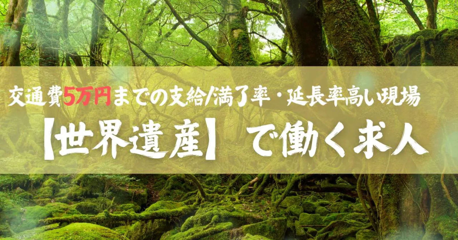 【綺麗な1R個室寮×温泉入浴×食事支給あり】人間関係抜群で満了率100%!延長スタッフ・出戻りスタッフも多数!交通費上限5万円/世界遺産【屋久島】のレア求人!