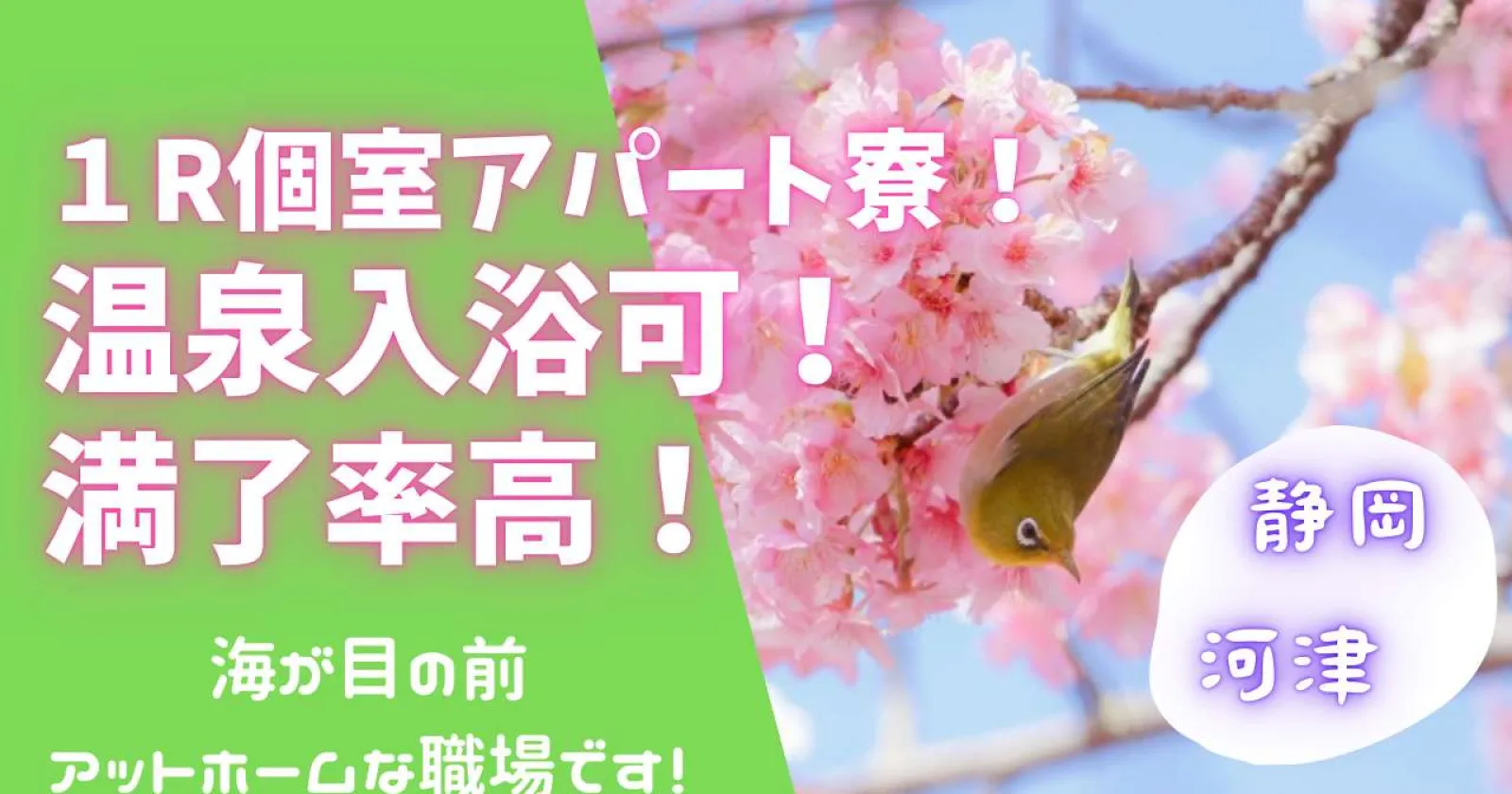 【1R個室寮】温泉入浴無料!河津の老舗旅館でレストランのお仕事