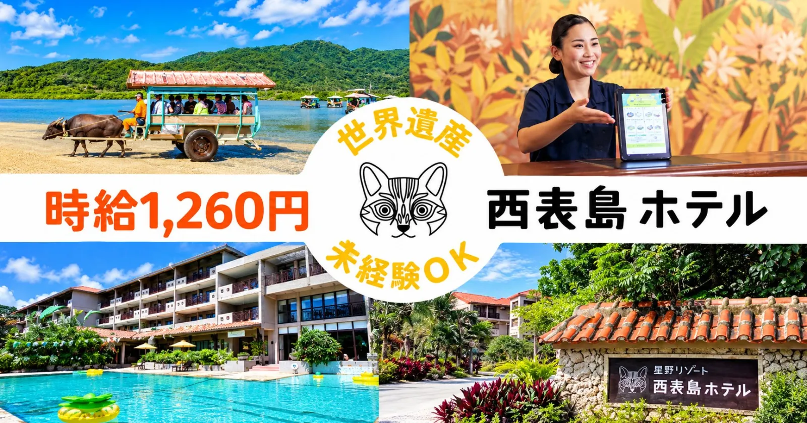 【離島だけど稼げる!未経験OK・1R個室寮・通し勤務】自然豊かな〔西表島〕にある〔星野リゾート〕で勤務してみませんか??