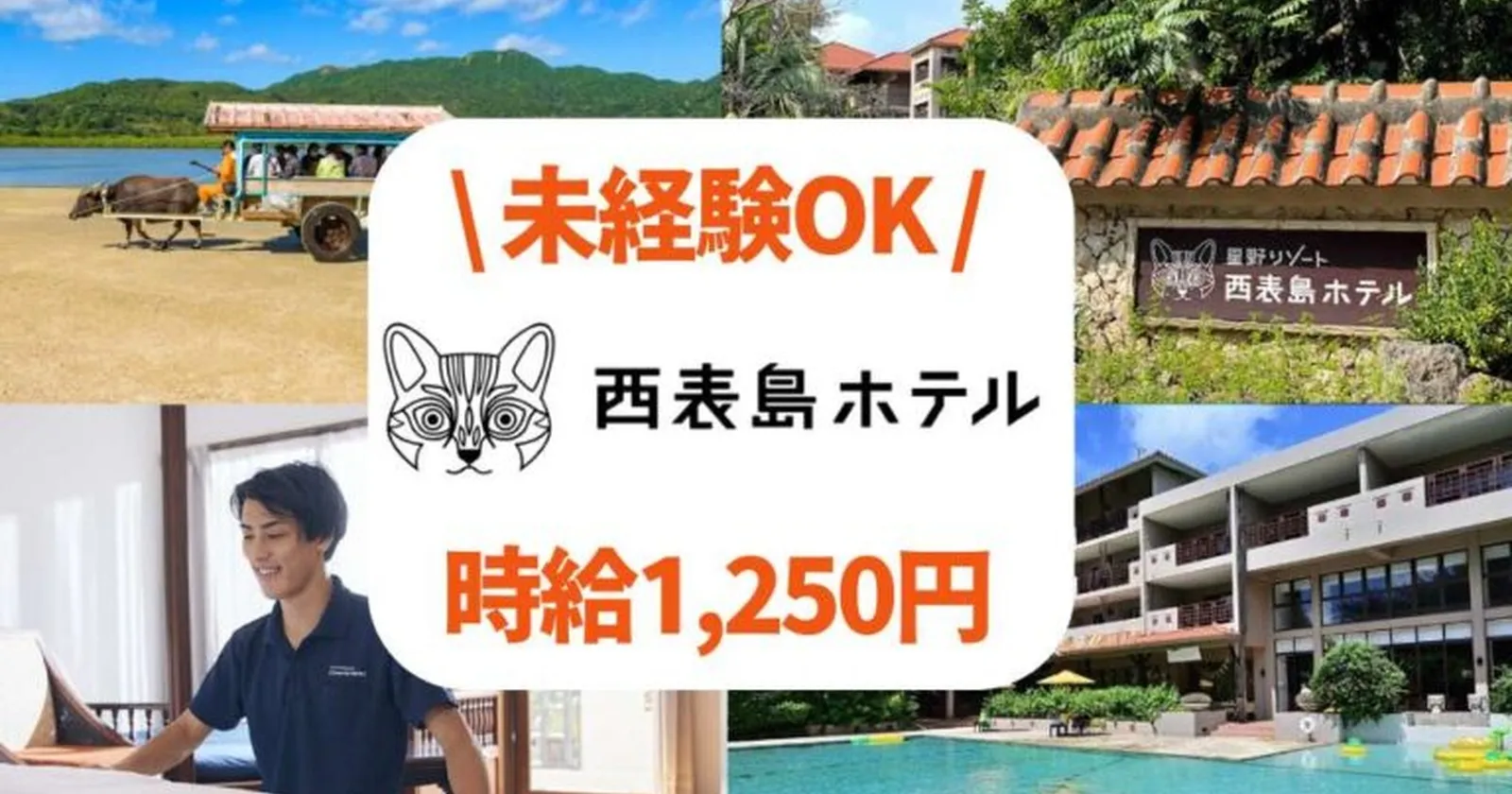 【裏方でも稼げる!未経験OK・1R個室寮・通し勤務】自然豊かな離島〔西表島〕にある〔星野リゾート〕で勤務してみませんか?