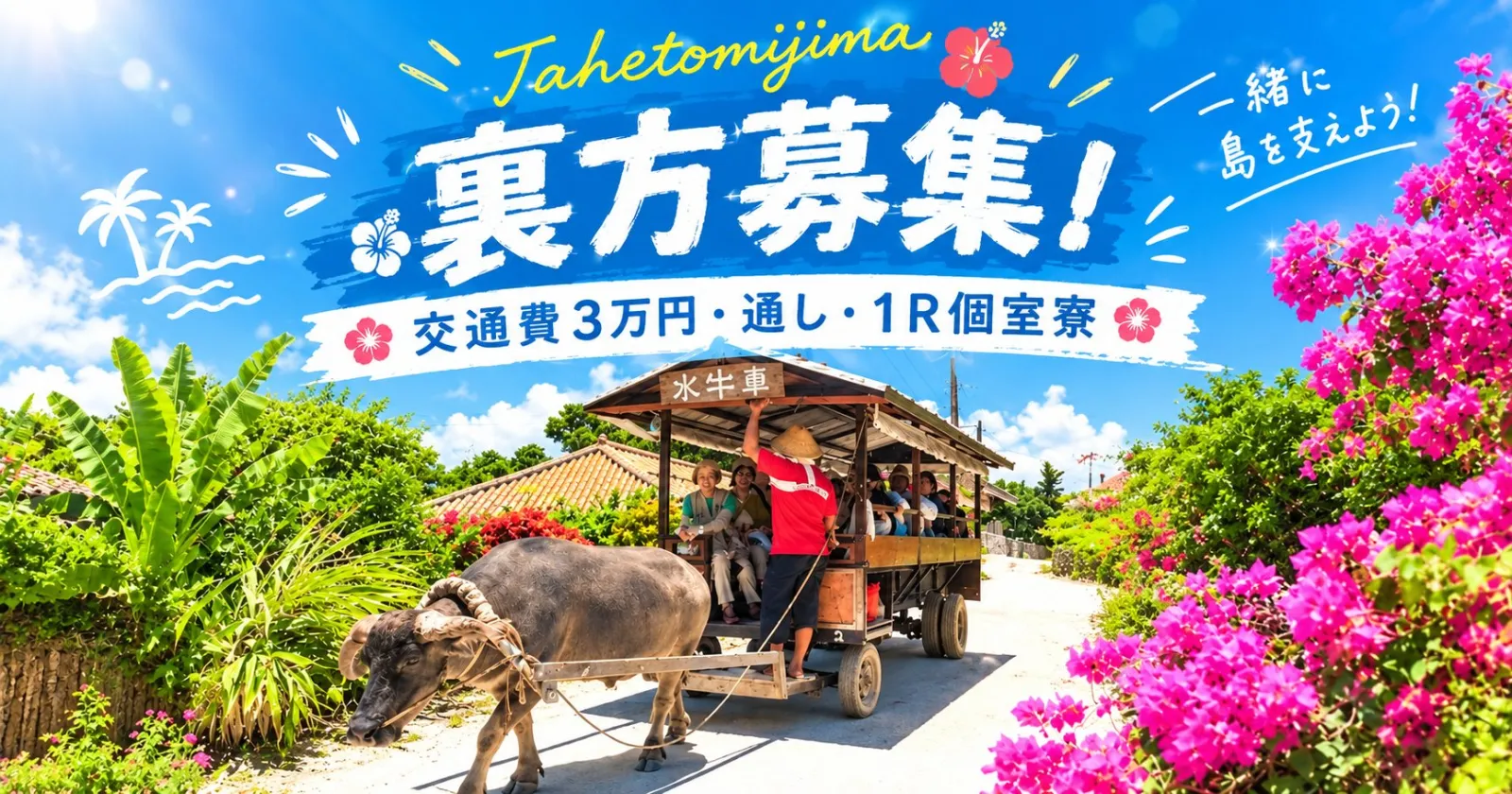 ≪裏方全般≫1枠の募集!【通し勤務×1R個室寮×職場環境good!】寮は石垣島なので生活が便利!スタッフからも好評の働きやすい現場です!