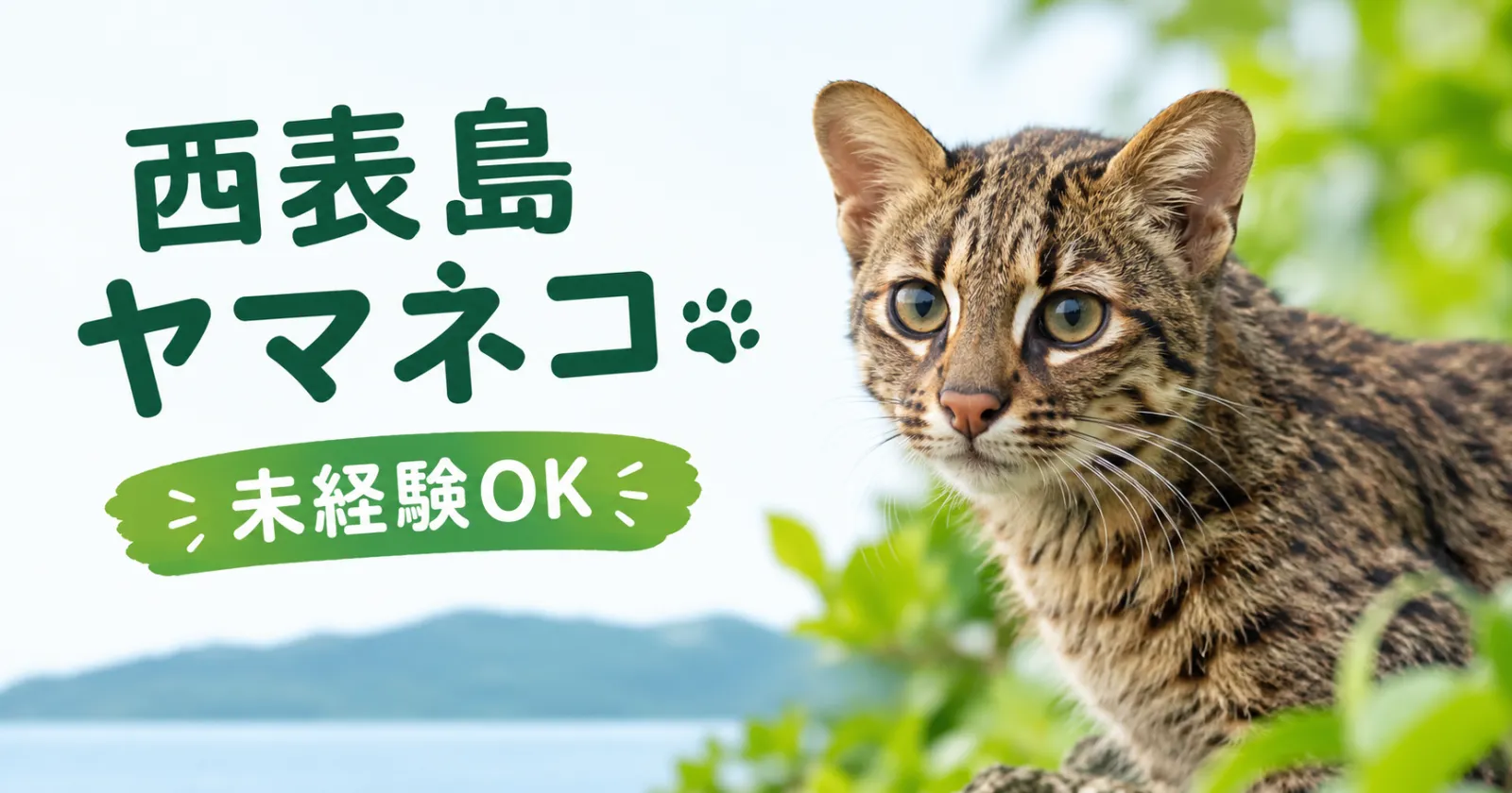 「非日常を味わえる」【1R個室・寮費無料】働きやすいとスタッフからの評判が高いホテルです!